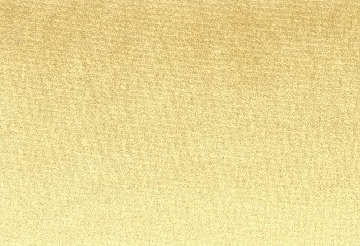 Laguna 05